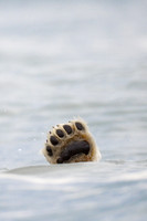 "A Wave Hello"