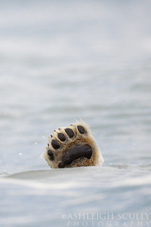 "A Wave Hello"