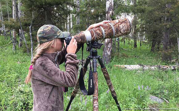 Photographing Great Gray Owls, Wyoming