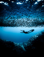Freediving in Tonga
