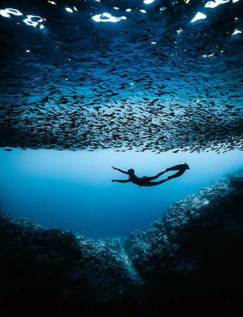 Freediving in Tonga
