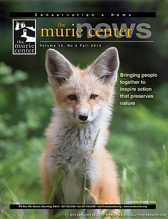 Murie Center Fall 2014 Cover Image