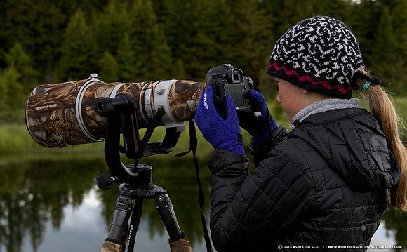 Checking my histogram in Grand Teton National Park, Wyoming.
